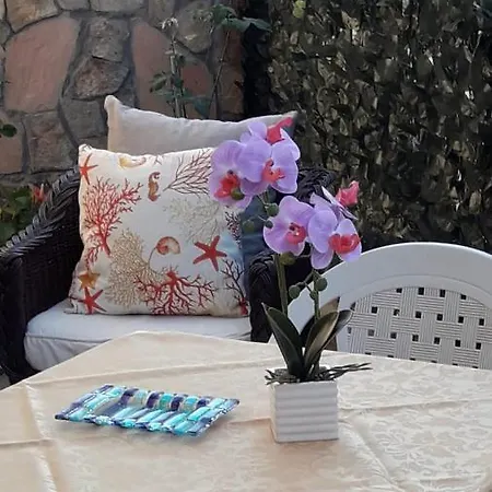 4 Stagioni