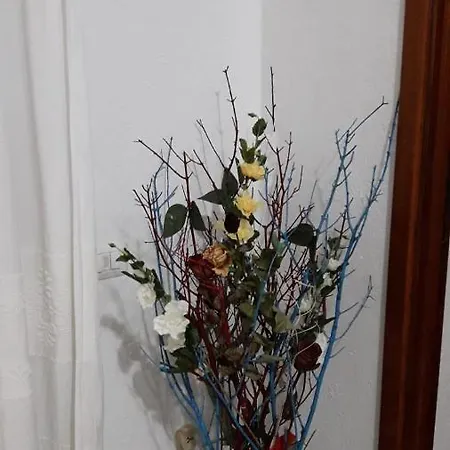 Bed & Breakfast 4 Stagioni *