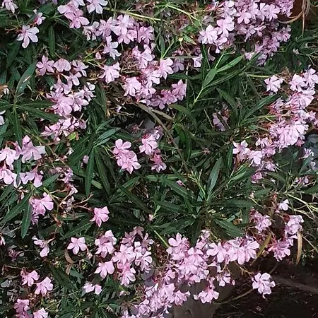 Bed and breakfast 4 Stagioni