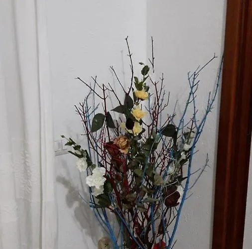 Couette-café 4 Stagioni *