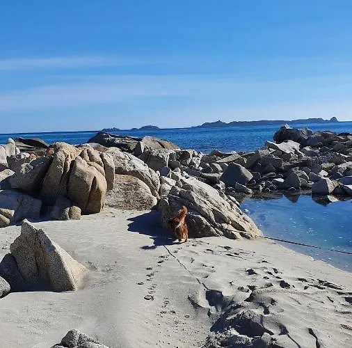 Couette-café 4 Stagioni *